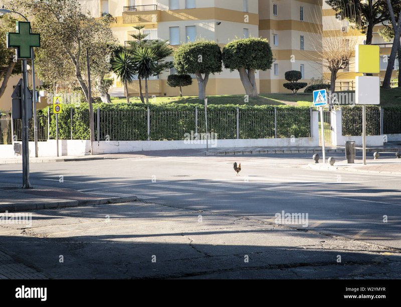 Chicken road oficial in Spain